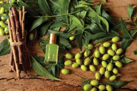 Plant Pharm: Balanced Detoxification with Neem Image